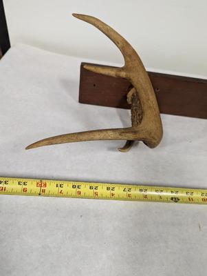 Deer Antler Coat Rack