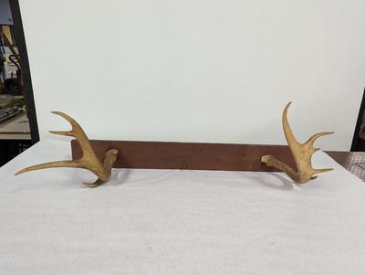 Deer Antler Coat Rack