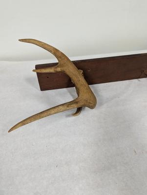 Deer Antler Coat Rack