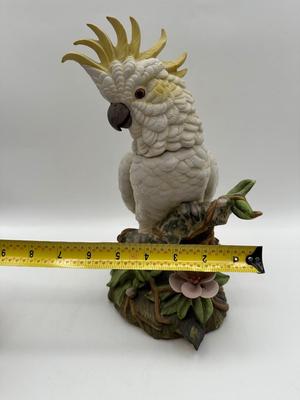 SIGNED Cockatoo By Jonathan Byron From “Americana Bird Collection"