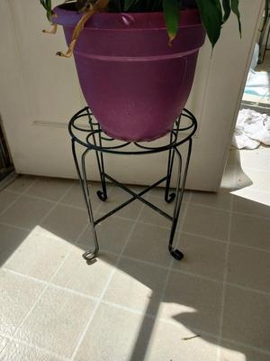 METAL STAND WITH POTTED LIVE PLANT