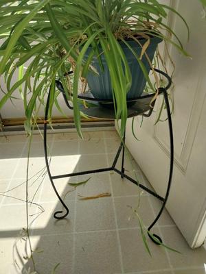 THIS ONE NEEDS HOME TOO-POTTED PLANT ON METAL STAND