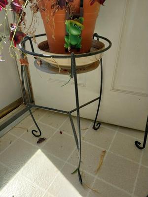 POTTED LIVE PLANT AND METAL STAND