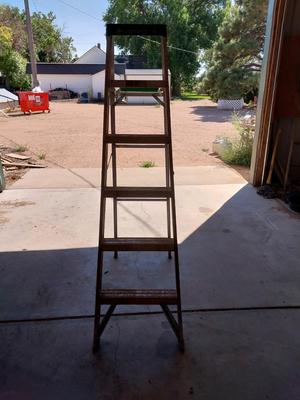 6' LOUISVILLE LADDER