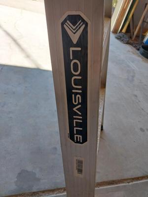 6' LOUISVILLE LADDER
