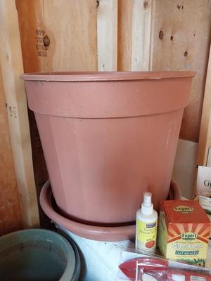 PLANTING POTS AND PLANT FOOD/SEEDS