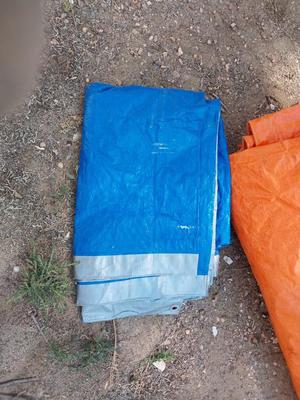 TARPS