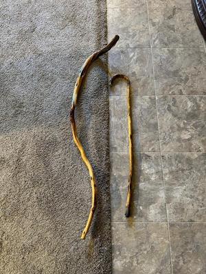WALKING STICK AND WOODEN CANE