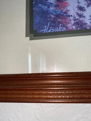 SCENIC FRAMED ARTWORK