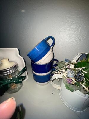 THE COUNTRY CALF COLLECTIBLE PLATE, MASON JAR HONEY POT, BOSTON WAREHOUSE CUPS AND MUCH MORE!