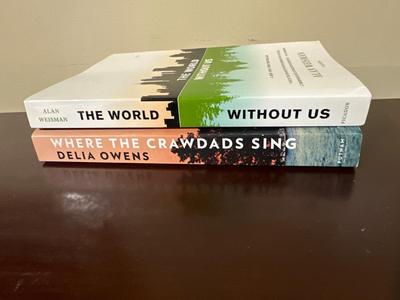 Paperback lot