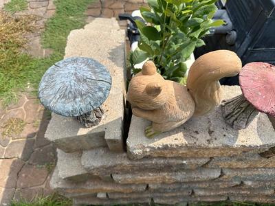 CONCRETE SQUIRREL AND 3 MUSHROOMS