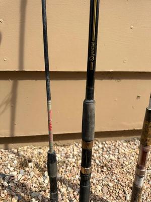 A VARIETY OF FISHING POLES