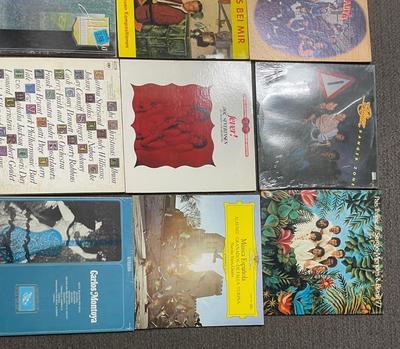Lot 2 of 12 33RPM Vinyl Records