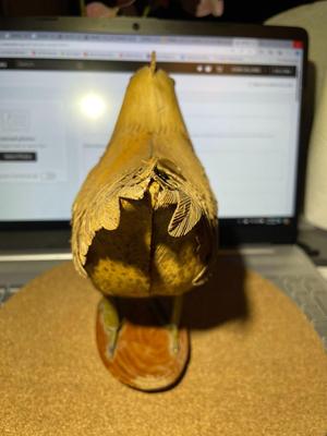 Vintage Chicken/Rooster Bamboo Like Figure 7" x 7.25" in Fair-Good Preowned Condition.
