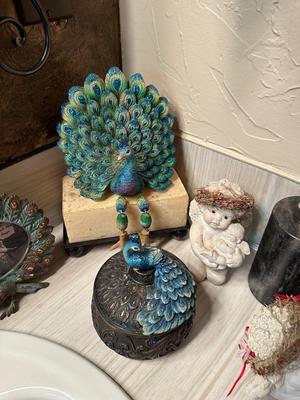 VINTAGE DREAMSICLES, PEACOCKS AND OTHER BATHROOM DECOR
