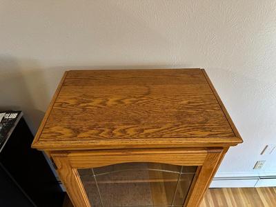GLASS FRONT SHELVED CABINET