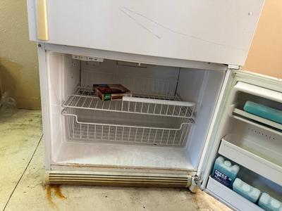 AMANA REFRIGERATOR W/BOTTOM FREEZER