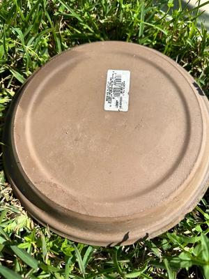 Plant Saucer Lot