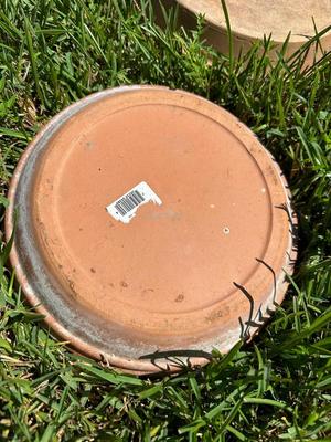 Plant Saucer Lot