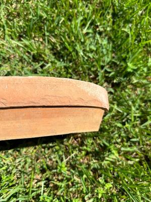Plant Saucer Lot