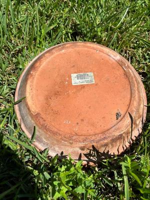Plant Saucer Lot