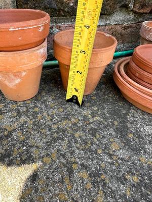 Terracotta Plant Pots