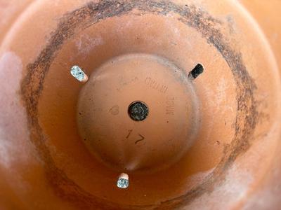 Terracotta Plant Pots