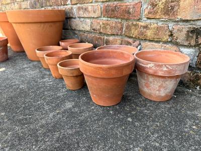 Terracotta Plant Pots