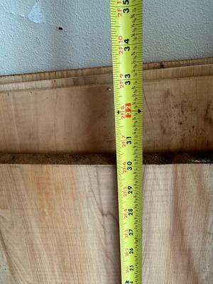 Cypress Wood Lot