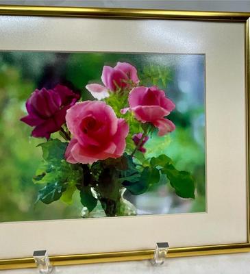 Framed Photograph of Roses