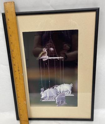 Framed Photograph Bird Visiting Pig Mobile