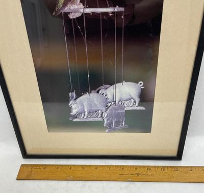 Framed Photograph Bird Visiting Pig Mobile