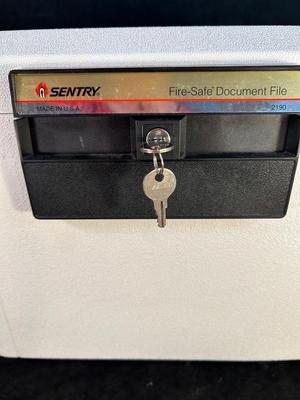 Lot 98. Sentry Fire Safe