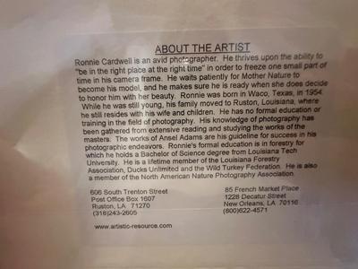 Ready to Frame New Orleans Photography by Ronnie Cardwell