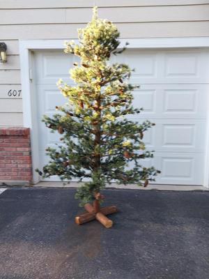 7'FT BLACK FOREST TREE WITH STAND