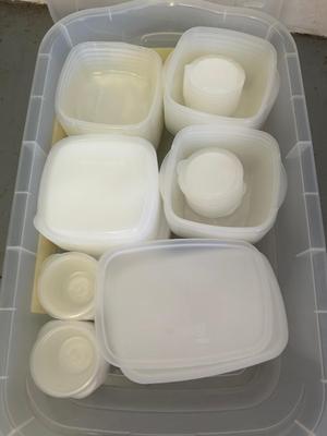 Lot 137. Bin of Food Storage Containers