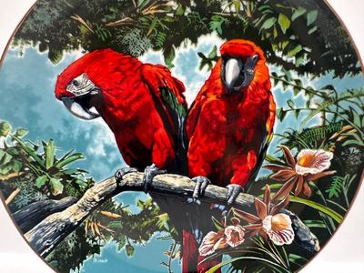 Scarlet Macaws by Konrad Hack, 1981