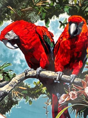 Scarlet Macaws by Konrad Hack, 1981