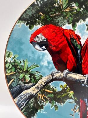 Scarlet Macaws by Konrad Hack, 1981