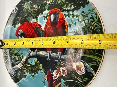 Scarlet Macaws by Konrad Hack, 1981