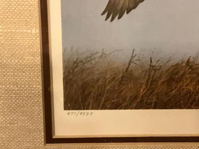 Ducks Unlimited lot, including signed print