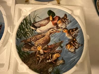 Ducks unlimited signed plates with Knowles plates, and art work
