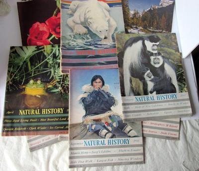Lot of Vintage Natural History Magazines, 1940s