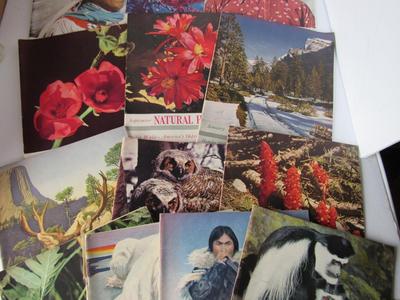 Lot of Vintage Natural History Magazines, 1940s