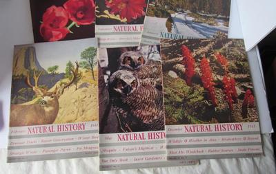 Lot of Vintage Natural History Magazines, 1940s
