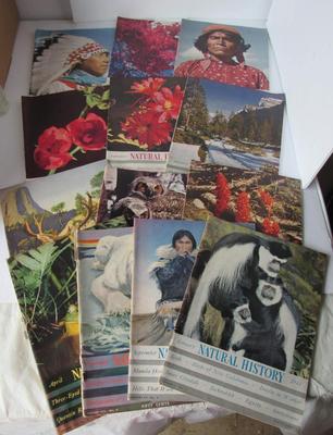 Lot of Vintage Natural History Magazines, 1940s