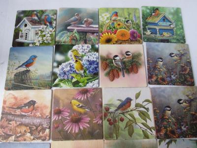 Lot of Pretty Cardboard Bird Theme Coasters