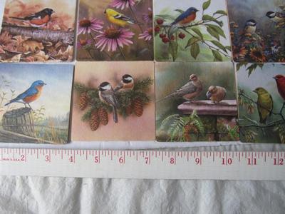 Lot of Pretty Cardboard Bird Theme Coasters