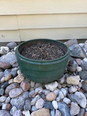 Iron tire rim Planter #2